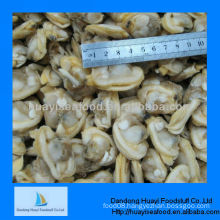 high quality frozen short necked clam